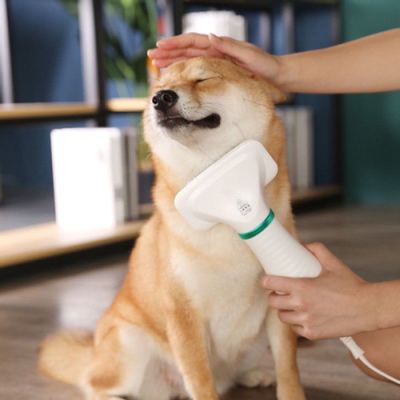 Escova Secadora De Pelos Para Pet Cachorro Gato