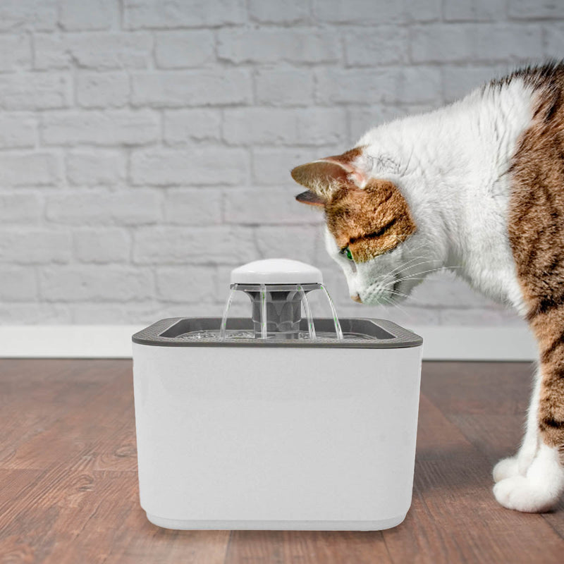 Fonte Bebedouro Gatos Cães Automatico Com Filtro USB Bivolt 2,5 Litro